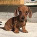 Betty Rexrode - Facebook
