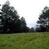 Betty_Reyes_ - @betty_reyes_ - TikTok