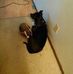 Betty Richards - Facebook