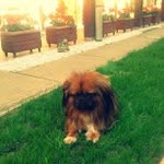 Betty Rickert - @softplaga - Instagram