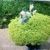 Betty Ricketts - Facebook