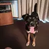 bettyricketts5 - @bettyricketts5 - TikTok