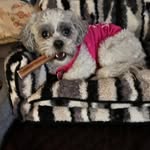 Betty Riddle - @reloader_48 - Instagram