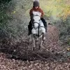bettysridingjourney - @bettysridingjourney - TikTok