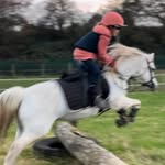 @bettysridingjourney - Instagram