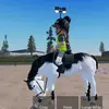 lovehorses - @riding.betty - TikTok
