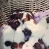Betty Rigby - @betty.rigby - TikTok
