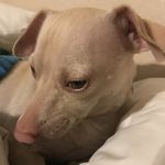 Betty Rigby - @ibcezar - Instagram