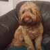 Betty Rigby - Facebook