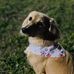 Betty Durham Rigdon - Facebook