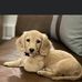 Betty Rigdon - Facebook