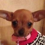 Betty Richards Riggle - @bettyrichardsriggle - Instagram