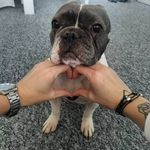 Betty🐾 a  já👩🏼‍⚕️ - @rikejte_mi_betty - Instagram