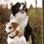 Betty Rinehardt - @rinehardtbetty - Instagram