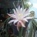 Betty Rios - Facebook