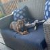 Betty Rose - Facebook