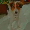 Betty Ruff - @betyyruff - TikTok