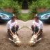 Betty Sievert - Facebook