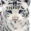 user866389894088 - @bettysim - TikTok