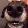 Betty - @betty.simons - TikTok