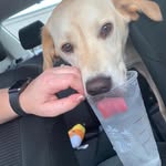 Betty Simons - @simons_b - Instagram