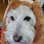 Betty Simons Swenton - @bettyswenton - Instagram