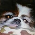 Betty Sims - @bettyboo94124gmail.com_ - Instagram