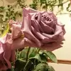 Betty Sims - @betty.sims7 - TikTok
