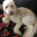 Betty Sinclair - Facebook