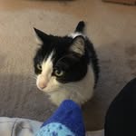 Betty Sippert - @bettysippert - Instagram