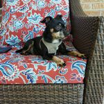 Betty Slagle-Shephard - @betss1 - Instagram