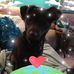 Bette Stapleton - Facebook