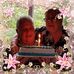 Betty Stapleton - Facebook