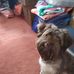 Betty Streeter - Facebook