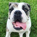 Betty Stuart - @bettyspaghetti16 - Instagram
