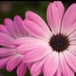 Betty Stuart - @stuartsleisureacres - Instagram