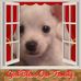 Betty Ann Sumner - Facebook