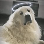 Betty Thomson - @betty.thomson.509 - Instagram