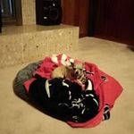 Betty Travis - @betty.travis.5264 - Instagram