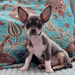 Betty Vd Wall - Facebook