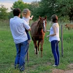 Betty Wallmann - @bettywallmann - Instagram