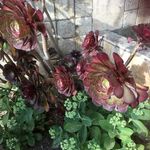 Betty warren - @bjwarren78940 - Instagram
