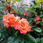 Betty Warren - @bettywarren360 - Instagram