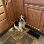 Betty Warren Bowen - @betty_warren_bowen - Instagram
