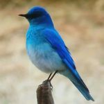 Betty Willis - @betty.willis.1048 - Instagram