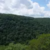 Betty Workman - @betty.workman.123 - TikTok