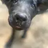 Betty Workman - @betty.workman - TikTok