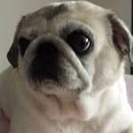 Betty Yip - @betty.yip.52 - Instagram