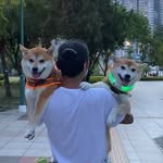 Betty Yip - @yipbetty - Instagram