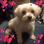 Betty Yip - @bettyyip1226 - Instagram